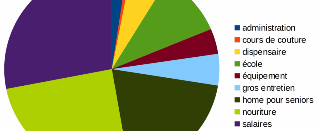 Camembert représentant graphiquement la répartition des dépenses en Inde durant l'année 2024.