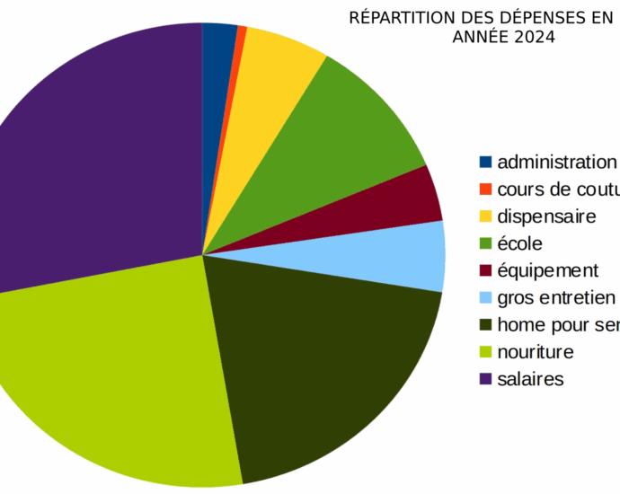 Camembert représentant graphiquement la répartition des dépenses en Inde durant l'année 2024.