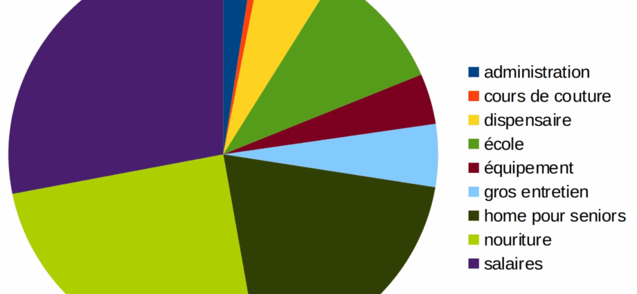 Camembert représentant graphiquement la répartition des dépenses en Inde durant l'année 2024.